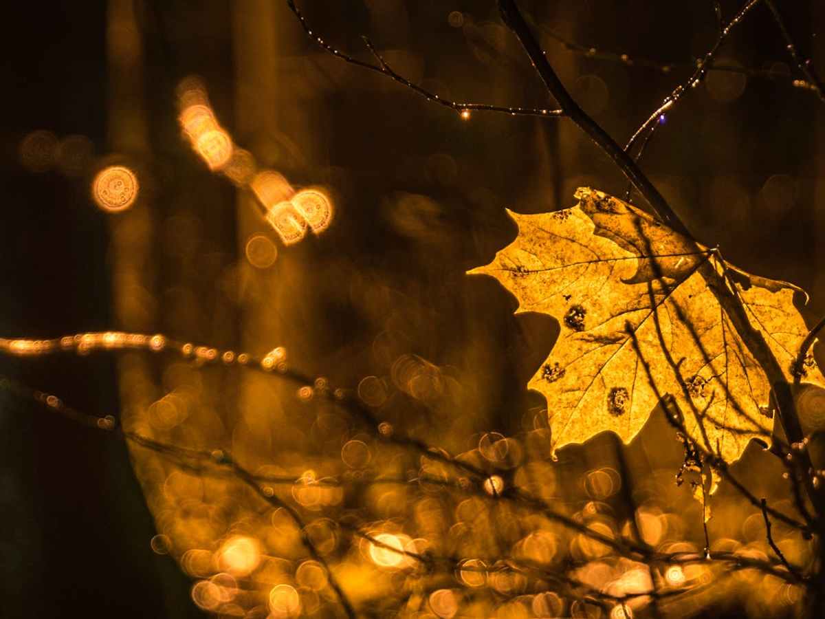 Fluir…por Mágica Mistura